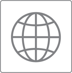 globe icon