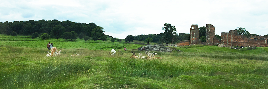 Bradgate Park, UK