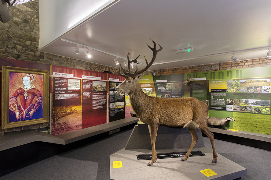 illuma's feature lighting in the bradgate visitor centre exhibition.jpg